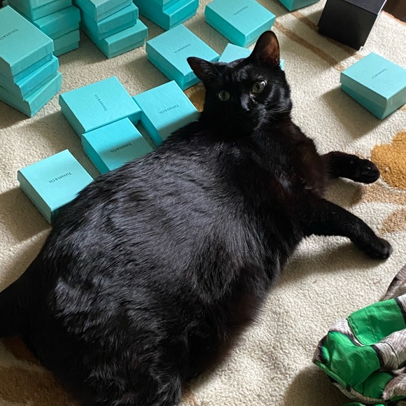 🇨🇦LIMITED TIME SALE 15% OFF REDUCED ITEMS FOR THIS WEEK ONLY, GOD BLESS 🇨🇦 - Picture 3 of 4